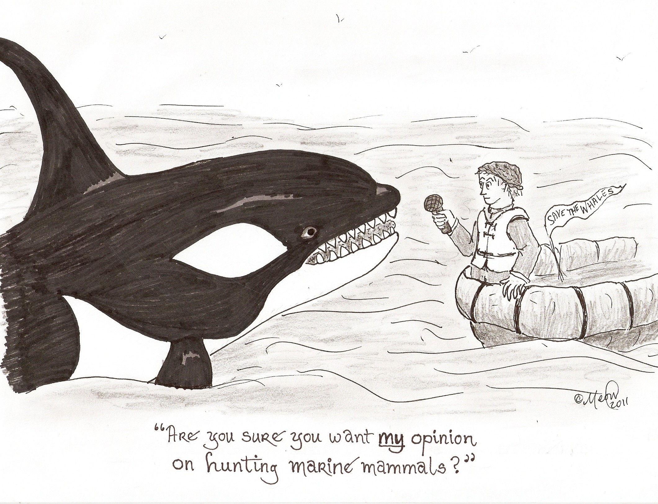 orca cartoon